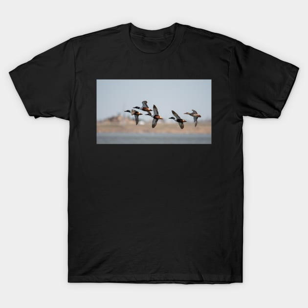 Flyby T-Shirt by gdb2